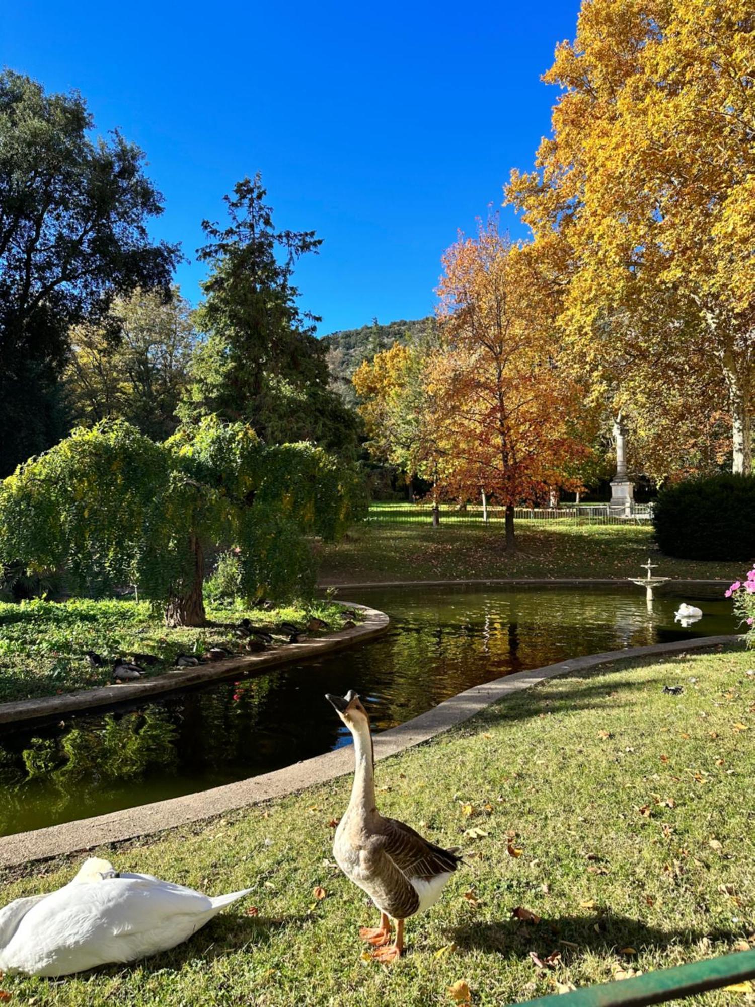 דירות Le Perchoir Du Parc Coeur Historique אנדוזה מראה חיצוני תמונה